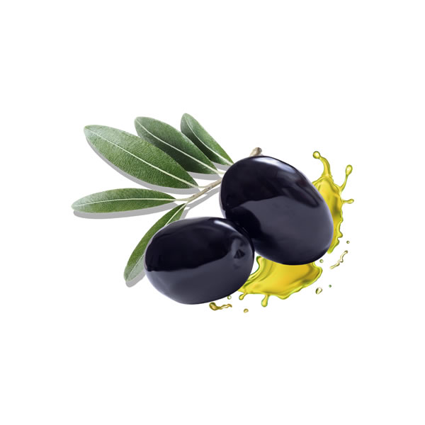 Masline Naturale Negre Uslu1,5 KG